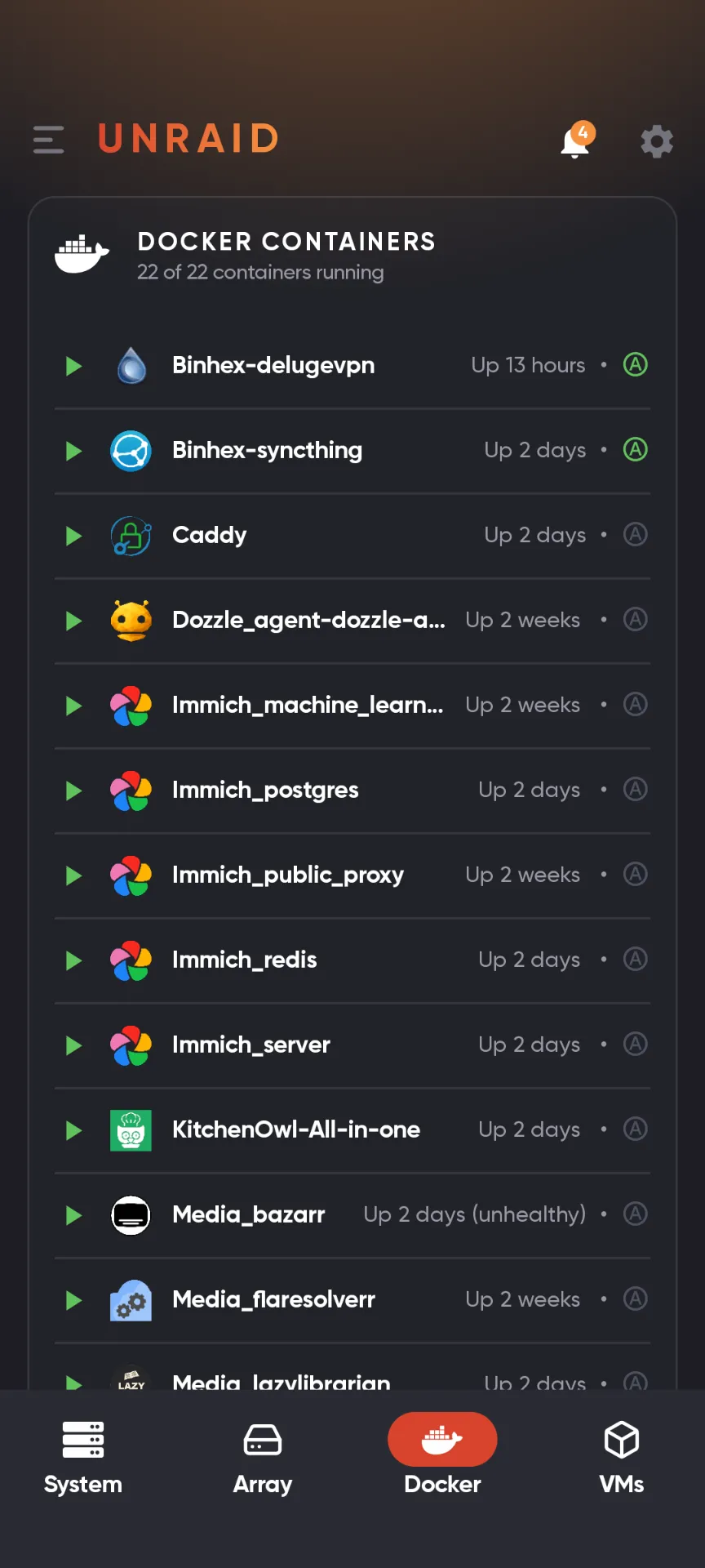 unRaid Docker tab