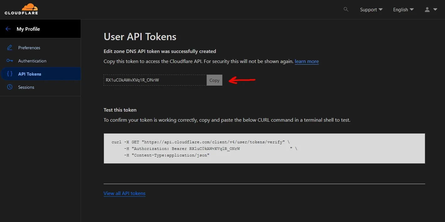 Cloudflare API Token