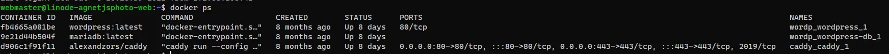 Docker 'ps' output showing Caddy running