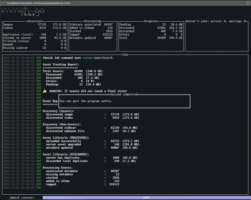 Immich-Go Export Complete