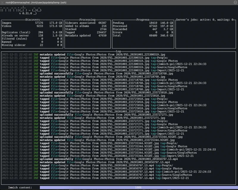 Immich-Go Import in Progress