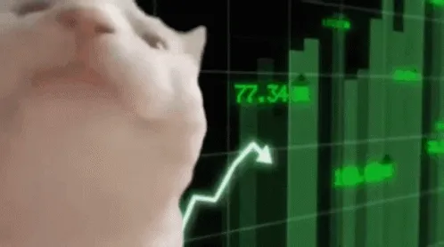 Stonks meme cat