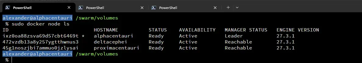 Docker Swarm cluster