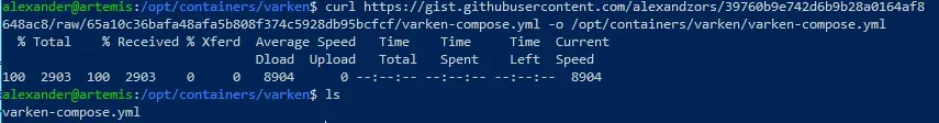 Terminal output after downloading the Varken compose file